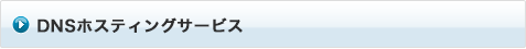 DNSホスティングサービス