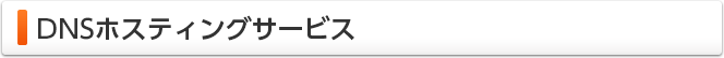 DNSホスティングサービス