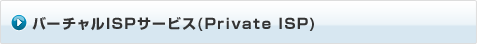 バーチャルISP(Private ISP)