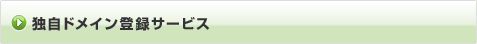 独自ドメイン登録サービス